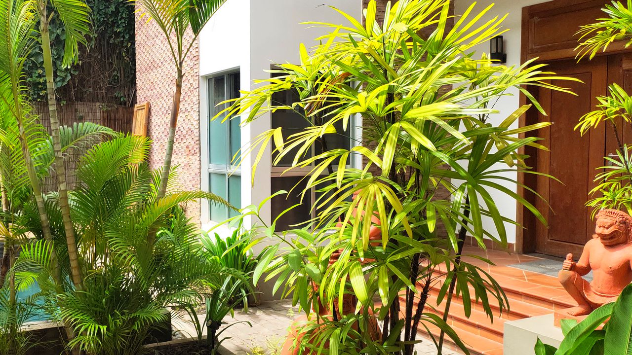 Our Urban Oasis::Live the Experience