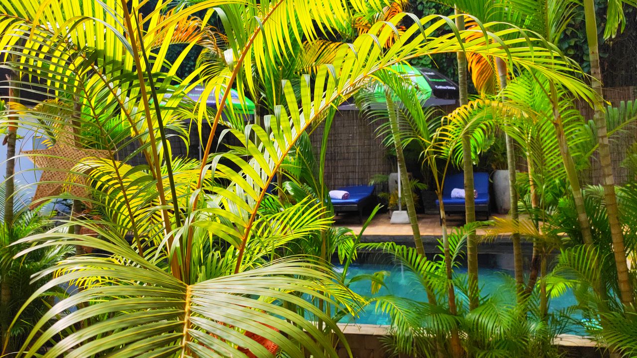 Our Urban Oasis::Project with Meaning