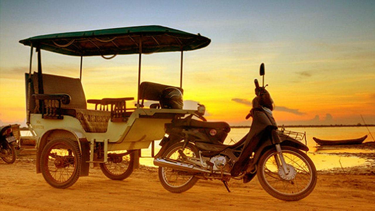 Our Urban Oasis::Caring Service